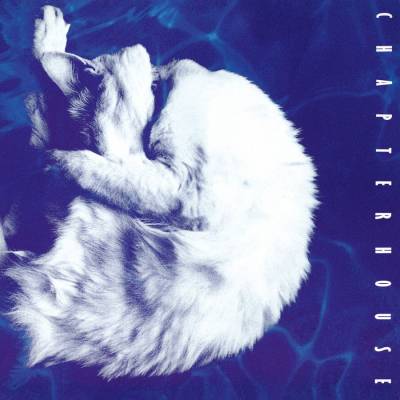 Chapterhouse - Whirlpool LP (Blue Marbled Vinyl)