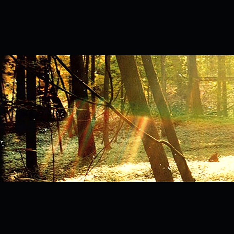 Childish Gambino - Camp 2xLP