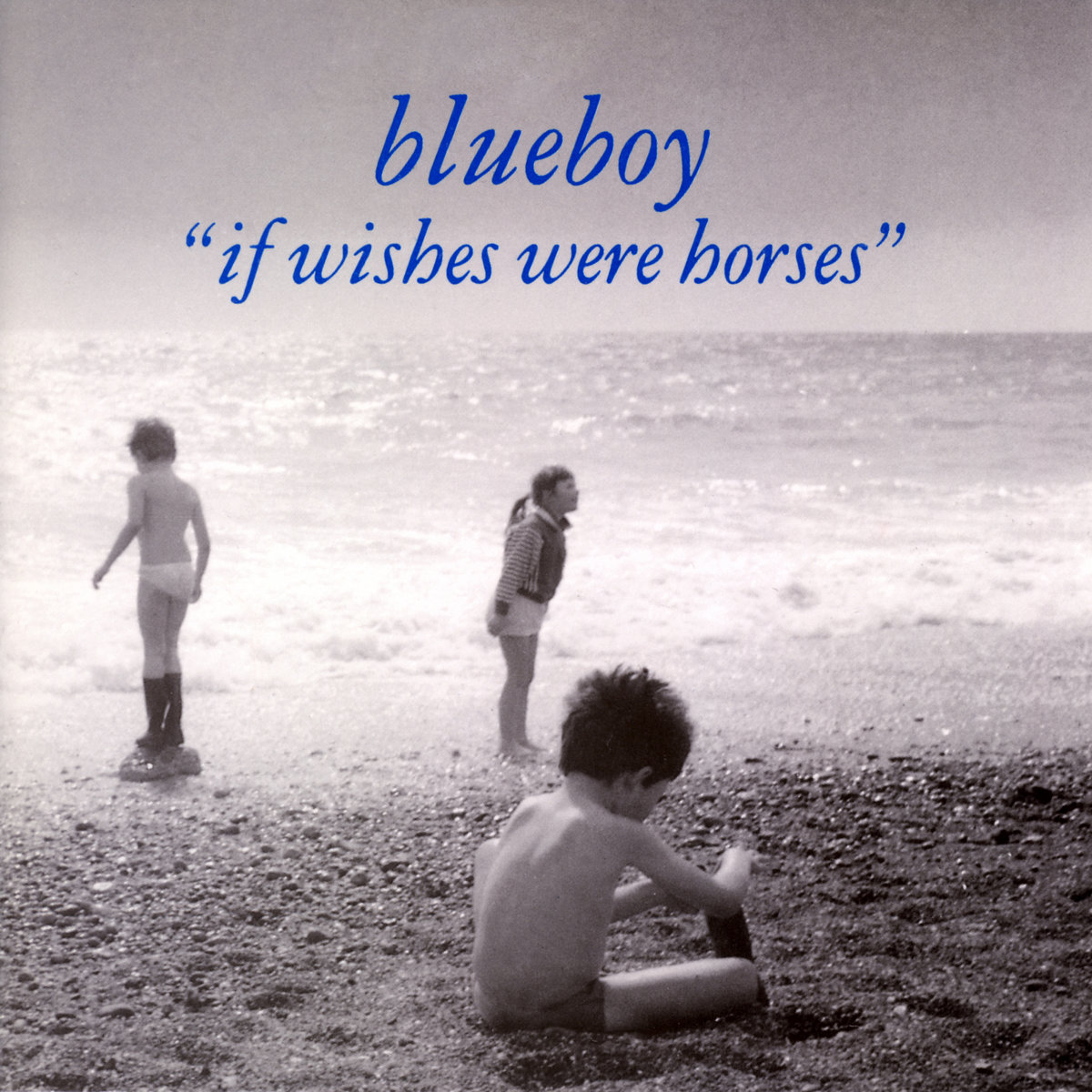 Blueboy - If Wishes Were Horses LP (Reissue)