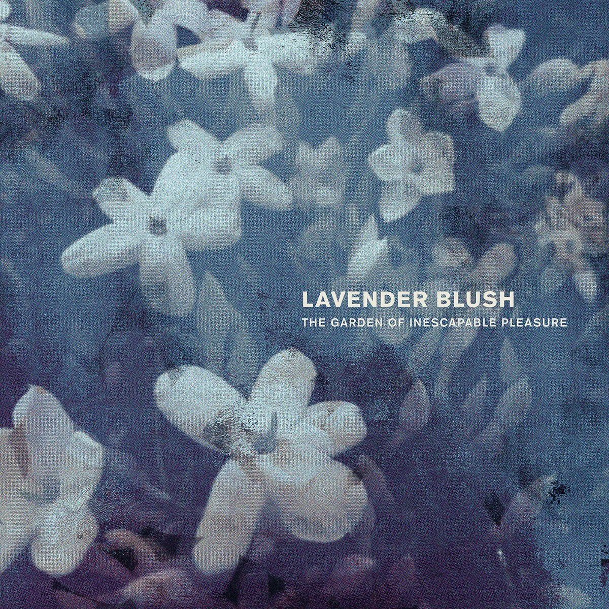 Lavender Blush - Garden Of Inescapable Pleasure LP (Splattered Vinyl)