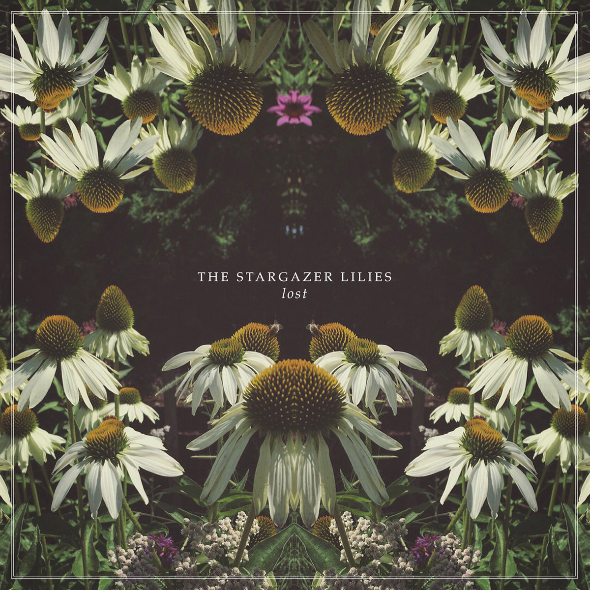 The Stargazer Lilies - Lost LP (Coloured Vinyl)