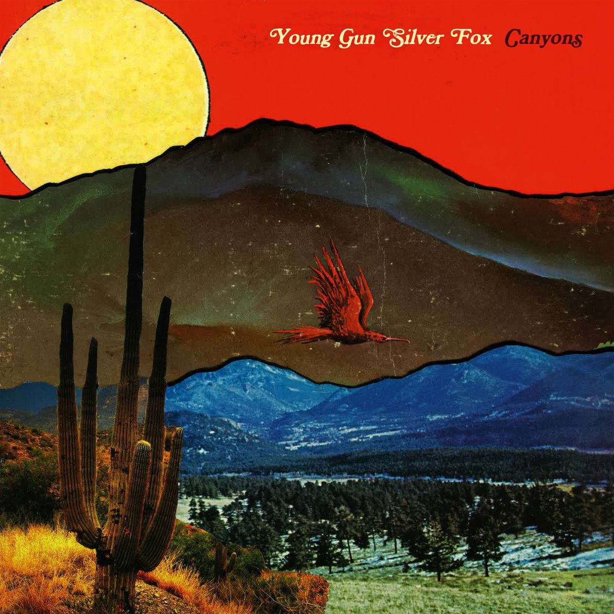 Young Gun Silver Fox - Canyons LP