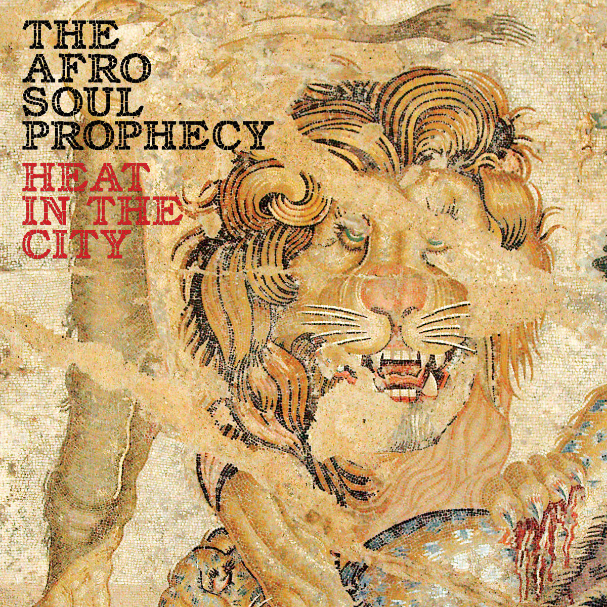 The Afro Soul Prophecy - Heat In The City LP