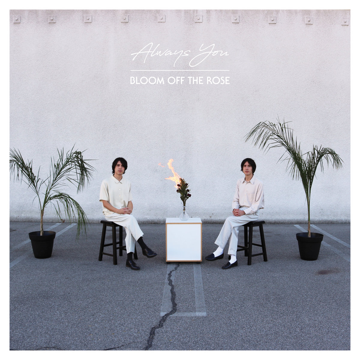 Always You - Bloom Off The Rose LP (White Vinyl)