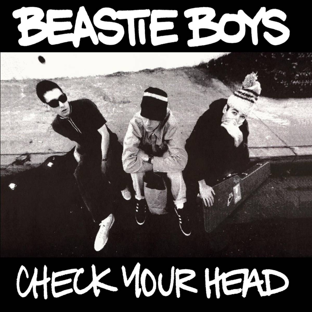 Beastie Boys - Check Your Head 2xLP