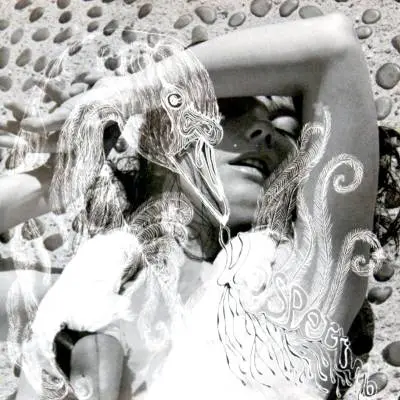 Björk - Vespertine 2xLP