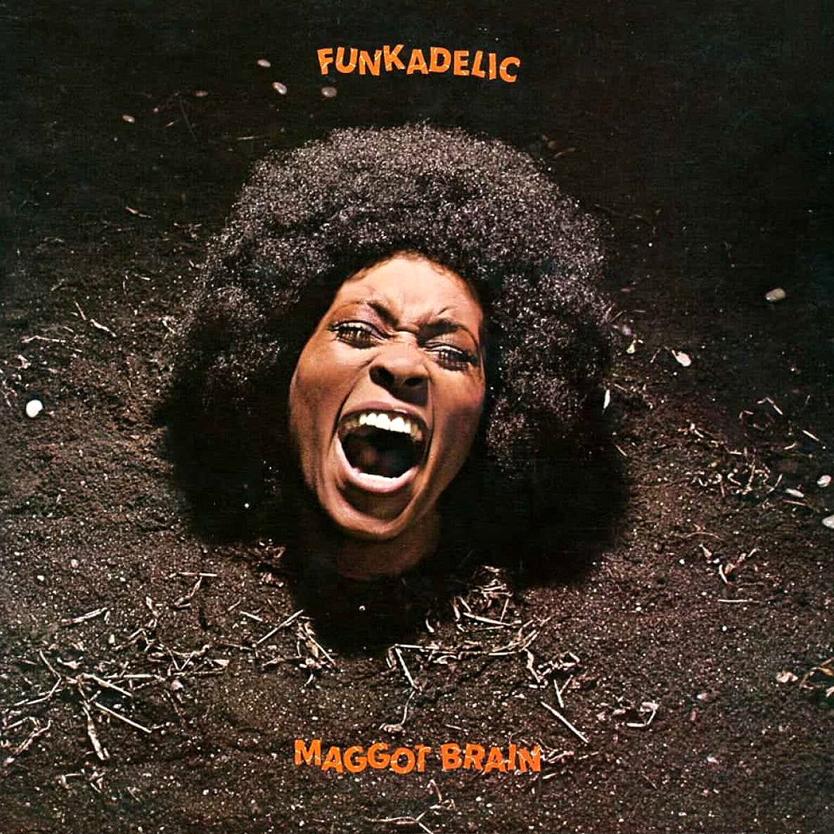 Funkadelic - Maggot Brain LP (Reissue)