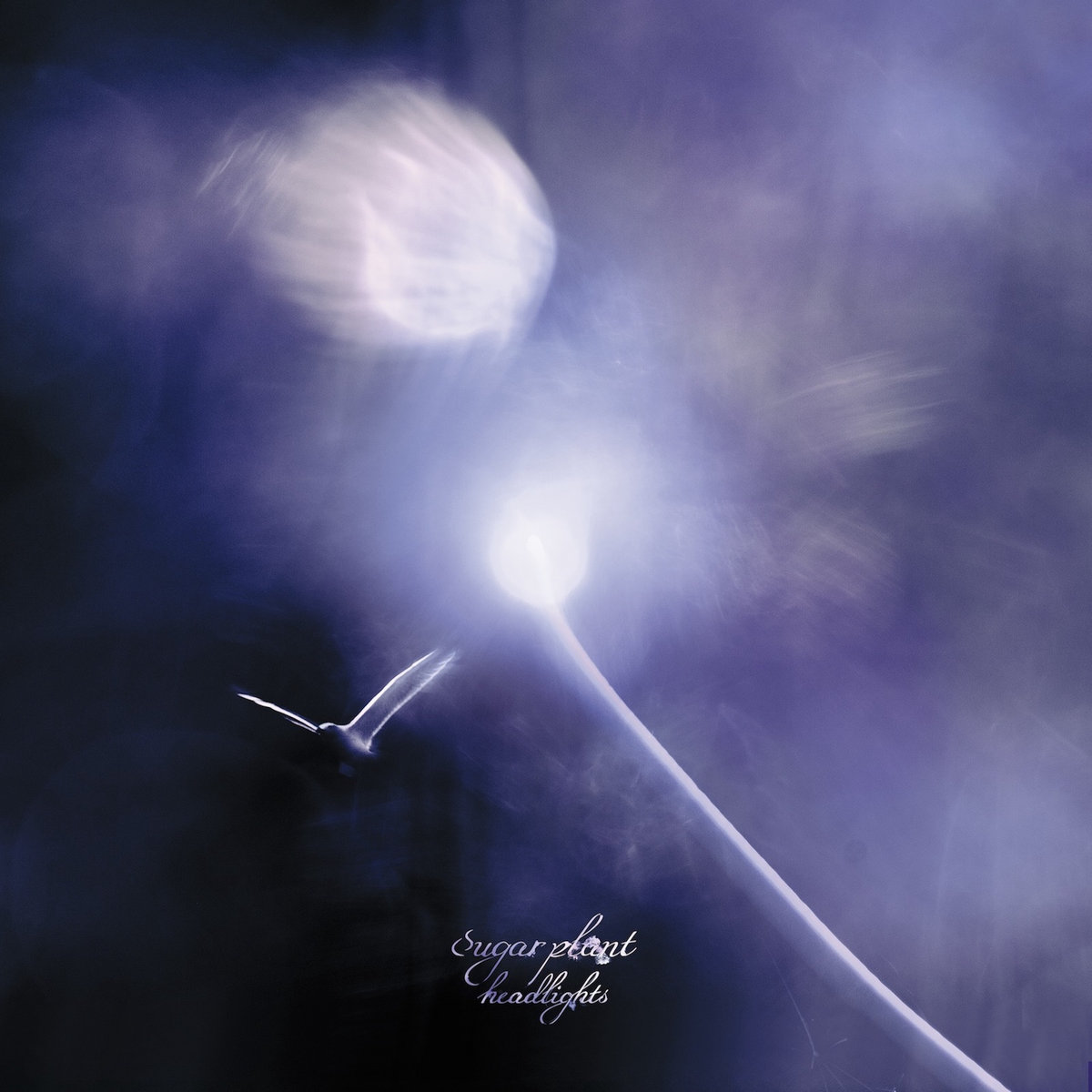 Sugar Plant - Headlights LP