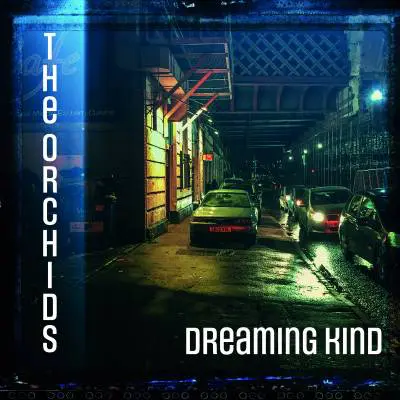 The Orchids - Dreaming Kind LP