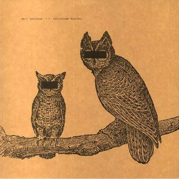 Neil Halstead - Palindrome Hunches LP (10th Anniversary Edition)