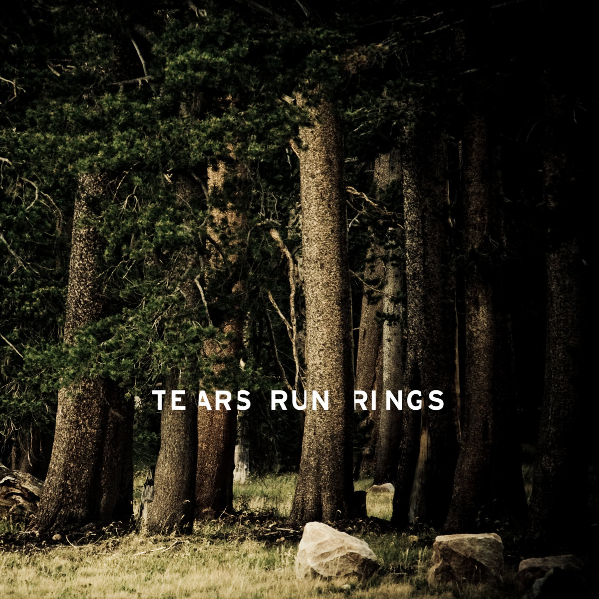 Tears Run Rings - Always, Sometimes, Seldom, Never LP (Black and Gold Swirl Vinyl) Tears Run Rings - Always, Sometimes, Seldom, Never LP (Black and Gold Swirl Vinyl)