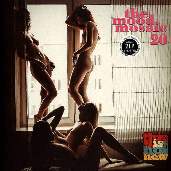 Various Artists - The Mood Mosaic 20: This Is Hot New 2xLP