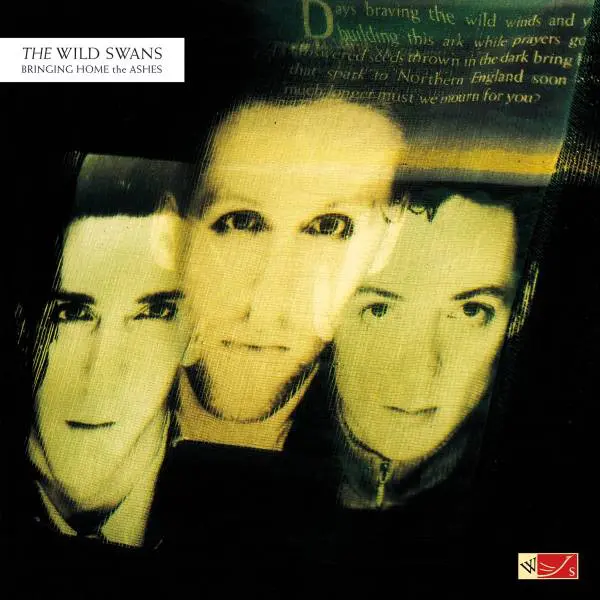 The Wild Swans - Bringing Home The Ashes LP (Translucent Green Vinyl)