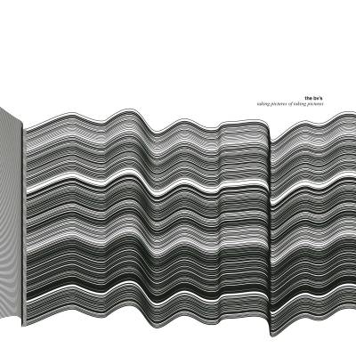 The BV's - Taking Pictures Of Taking Pictures LP
