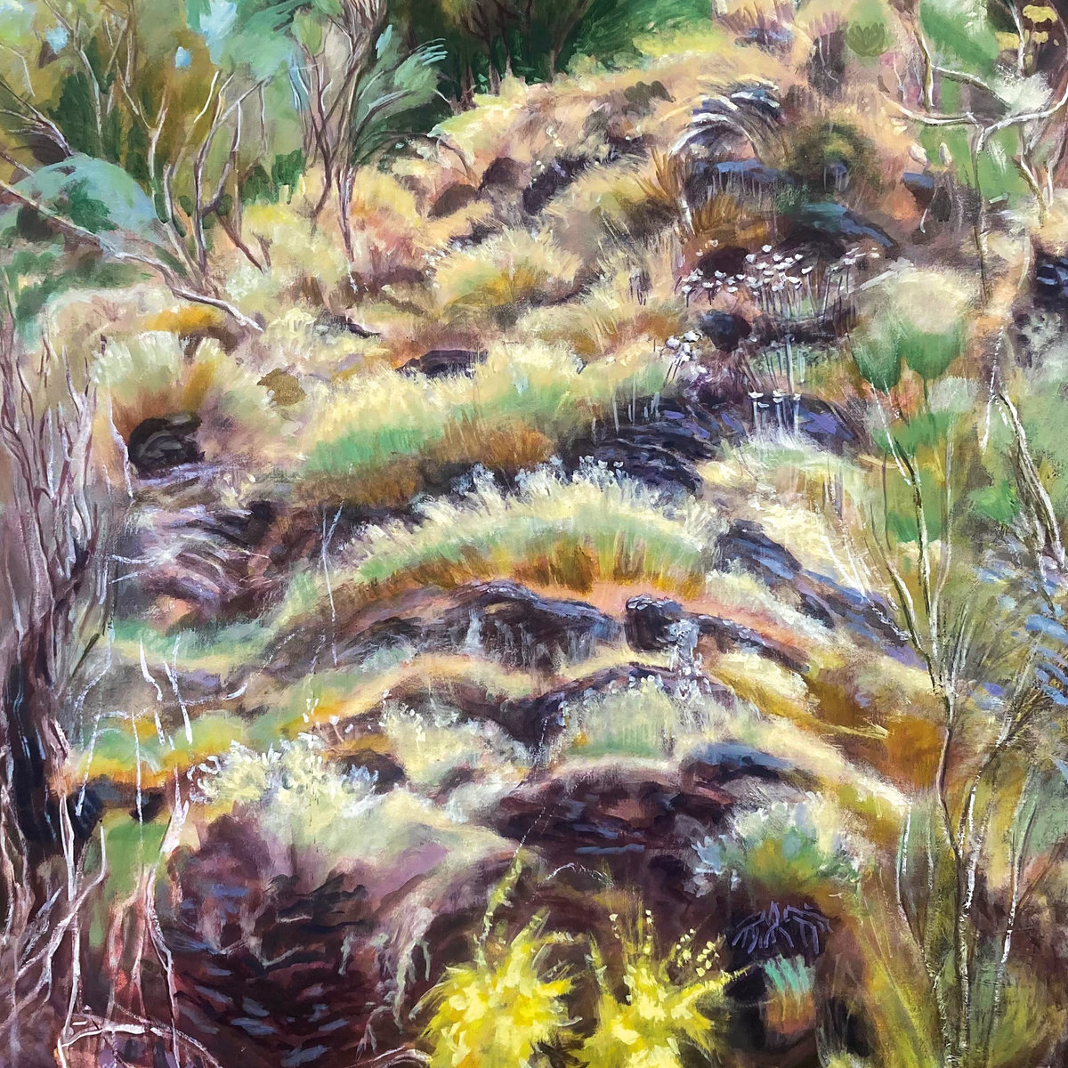 Swim Surreal - In The Half Light LP